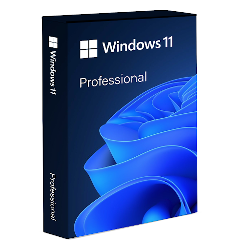 Microsoft Windows 11 Pro